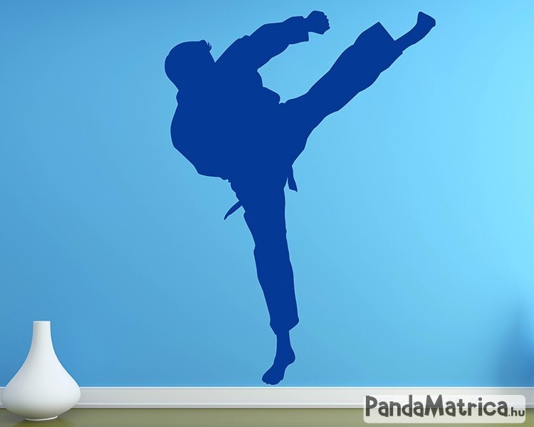 kung_fu1.jpg