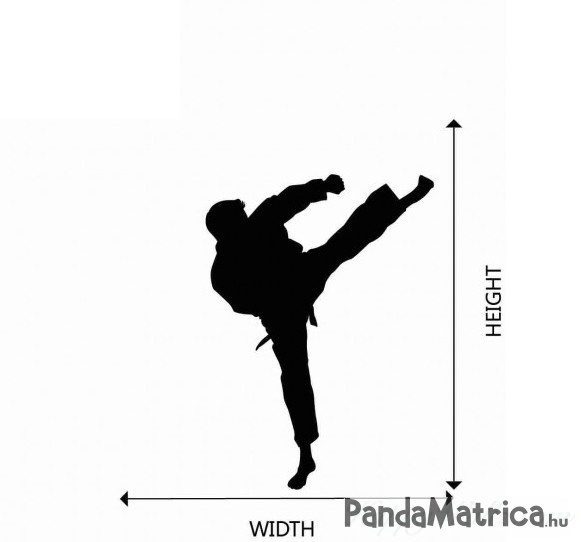 kung_fu2.jpg