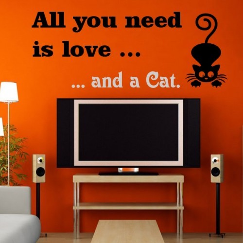 need_a_cat.jpg