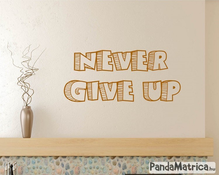 never_give_up6.jpg