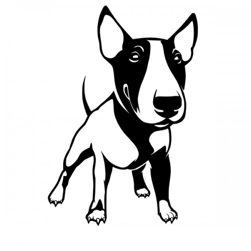 bullterrier.jpg