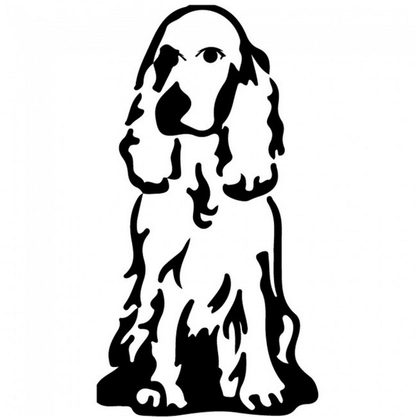spaniel.jpg