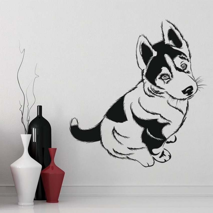 sziberiai_husky_03.jpg